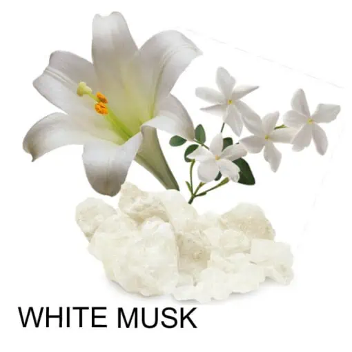 Musk White Collection Eau De Parfum 100Ml